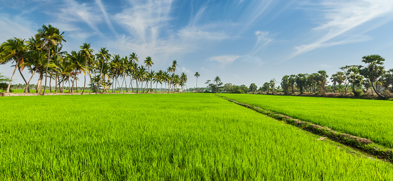 Task Force on Production and Promotion of Biofertilizers and Organic Fertilizers