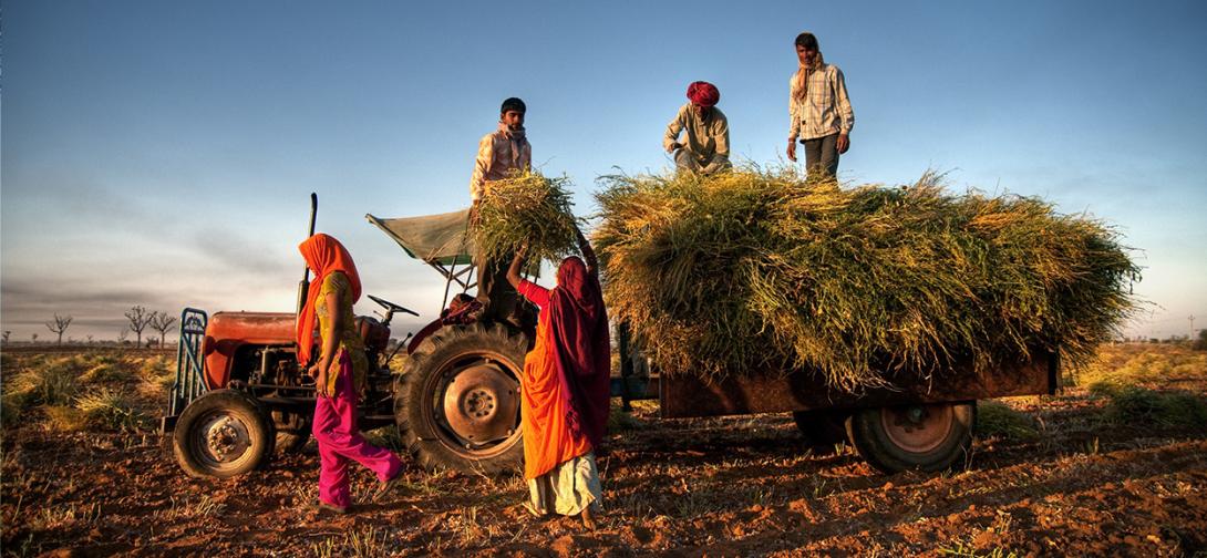 Strengthening the Indian Agriculture ecosystem