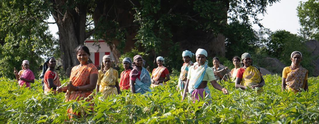 Women and Youth Participation in Cooperatives